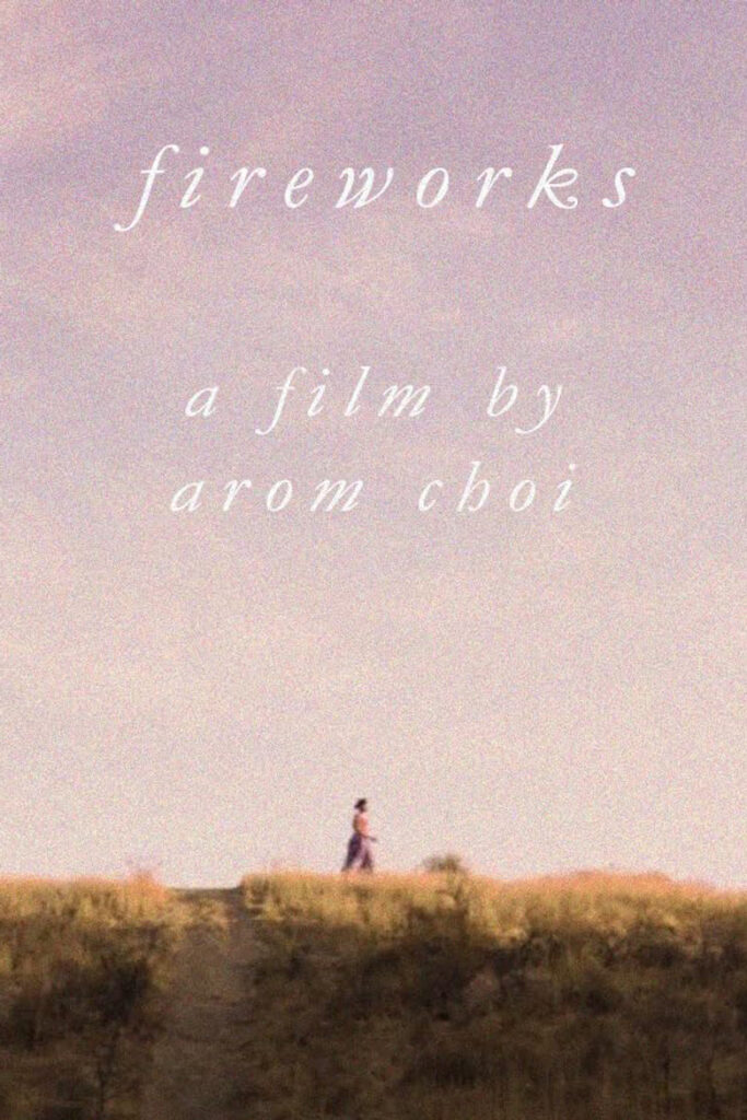 Fireworks (2017)
